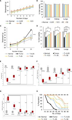 CLEC12A sensitizes differentially responsive breast cancer cells to the anti-cancer effects of artemisinin by repressing autophagy and inflammation